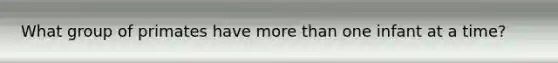 What group of primates have more than one infant at a time?