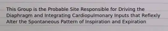 This Group is the Probable Site Responsible for Driving the Diaphragm and Integrating Cardiopulmonary Inputs that Reflexly Alter the Spontaneous Pattern of Inspiration and Expiration