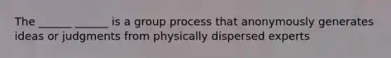 The ______ ______ is a group process that anonymously generates ideas or judgments from physically dispersed experts