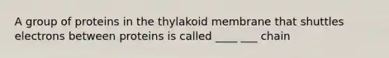 A group of proteins in the thylakoid membrane that shuttles electrons between proteins is called ____ ___ chain