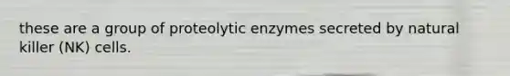 these are a group of proteolytic enzymes secreted by natural killer (NK) cells.