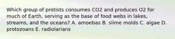 Which group of protists consumes CO2 and produces O2 for much of Earth, serving as the base of food webs in lakes, streams, and the oceans? A. amoebas B. slime molds C. algae D. protozoans E. radiolarians