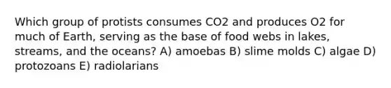 Which group of protists consumes CO2 and produces O2 for much of Earth, serving as the base of food webs in lakes, streams, and the oceans? A) amoebas B) slime molds C) algae D) protozoans E) radiolarians