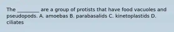 The _________ are a group of protists that have food vacuoles and pseudopods. A. amoebas B. parabasalids C. kinetoplastids D. ciliates