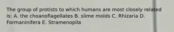 The group of protists to which humans are most closely related is: A. the choanoflagellates B. slime molds C. Rhizaria D. Formaninifera E. Stramenopila