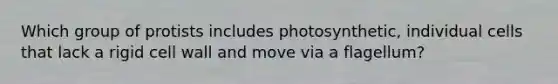 Which group of protists includes photosynthetic, individual cells that lack a rigid cell wall and move via a flagellum?