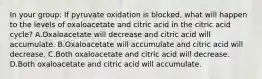 In your group: If pyruvate oxidation is blocked, what will happen to the levels of oxaloacetate and citric acid in the citric acid cycle? A.Oxaloacetate will decrease and citric acid will accumulate. B.Oxaloacetate will accumulate and citric acid will decrease. C.Both oxaloacetate and citric acid will decrease. D.Both oxaloacetate and citric acid will accumulate.