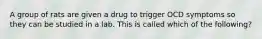 A group of rats are given a drug to trigger OCD symptoms so they can be studied in a lab. This is called which of the following?