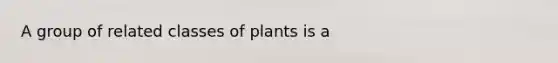 A group of related classes of plants is a