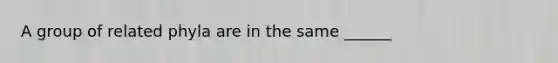 A group of related phyla are in the same ______