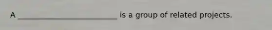 A __________________________ is a group of related projects.