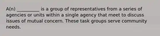 A(n) __________ is a group of representatives from a series of agencies or units within a single agency that meet to discuss issues of mutual concern. These task groups serve community needs.