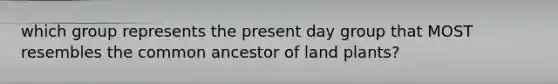 which group represents the present day group that MOST resembles the common ancestor of land plants?