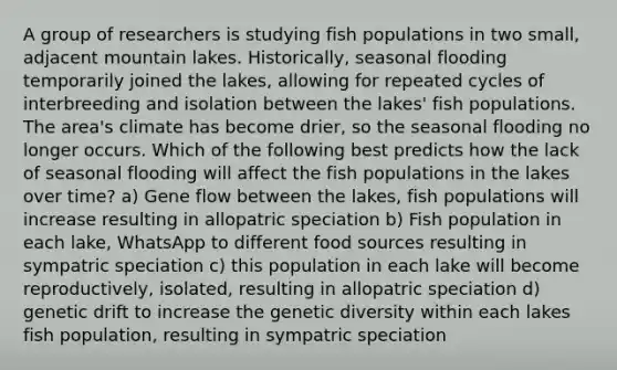 A group of researchers is studying fish populations in two small, adjacent mountain lakes. Historically, seasonal flooding temporarily joined the lakes, allowing for repeated cycles of interbreeding and isolation between the lakes' fish populations. The area's climate has become drier, so the seasonal flooding no longer occurs. Which of the following best predicts how the lack of seasonal flooding will affect the fish populations in the lakes over time? a) Gene flow between the lakes, fish populations will increase resulting in allopatric speciation b) Fish population in each lake, WhatsApp to different food sources resulting in sympatric speciation c) this population in each lake will become reproductively, isolated, resulting in allopatric speciation d) genetic drift to increase the genetic diversity within each lakes fish population, resulting in sympatric speciation