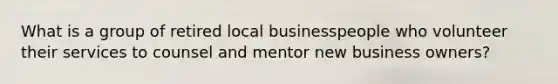 What is a group of retired local businesspeople who volunteer their services to counsel and mentor new business owners?