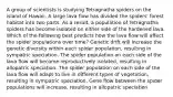 A group of scientists is studying Tetragnatha spiders on the island of Hawaii. A large lava flow has divided the spiders' forest habitat into two parts. As a result, a population of Tetragnatha spiders has become isolated on either side of the hardened lava. Which of the following best predicts how the lava flow will affect the spider populations over time? Genetic drift will increase the genetic diversity within each spider population, resulting in sympatric speciation. The spider population on each side of the lava flow will become reproductively isolated, resulting in allopatric speciation. The spider population on each side of the lava flow will adapt to live in different types of vegetation, resulting in sympatric speciation. Gene flow between the spider populations will increase, resulting in allopatric speciation