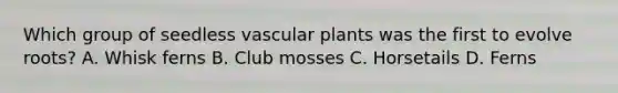 Which group of seedless <a href='https://www.questionai.com/knowledge/kbaUXKuBoK-vascular-plants' class='anchor-knowledge'>vascular plants</a> was the first to evolve roots? A. Whisk ferns B. Club mosses C. Horsetails D. Ferns