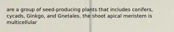 are a group of seed-producing plants that includes conifers, cycads, Ginkgo, and Gnetales. the shoot apical meristem is multicellular