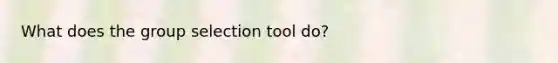 What does the group selection tool do?