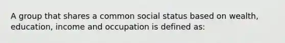 A group that shares a common social status based on wealth, education, income and occupation is defined as: