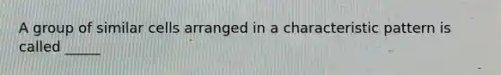 A group of similar cells arranged in a characteristic pattern is called _____