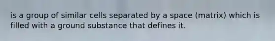 is a group of similar cells separated by a space (matrix) which is filled with a ground substance that defines it.