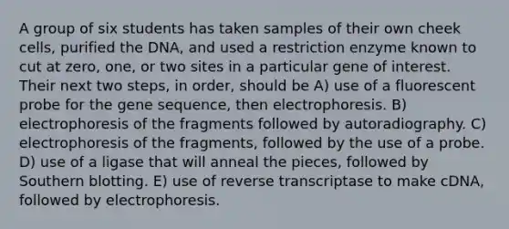 A group of six students has taken samples of their own cheek cells, purified the DNA, and used a restriction enzyme known to cut at zero, one, or two sites in a particular gene of interest. Their next two steps, in order, should be A) use of a fluorescent probe for the gene sequence, then electrophoresis. B) electrophoresis of the fragments followed by autoradiography. C) electrophoresis of the fragments, followed by the use of a probe. D) use of a ligase that will anneal the pieces, followed by Southern blotting. E) use of reverse transcriptase to make cDNA, followed by electrophoresis.