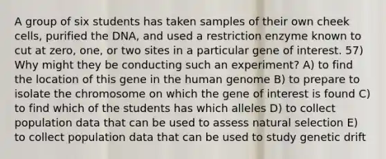 A group of six students has taken samples of their own cheek cells, purified the DNA, and used a restriction enzyme known to cut at zero, one, or two sites in a particular gene of interest. 57) Why might they be conducting such an experiment? A) to find the location of this gene in the human genome B) to prepare to isolate the chromosome on which the gene of interest is found C) to find which of the students has which alleles D) to collect population data that can be used to assess natural selection E) to collect population data that can be used to study genetic drift