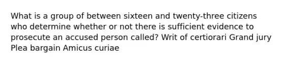 What is a group of between sixteen and twenty-three citizens who determine whether or not there is sufficient evidence to prosecute an accused person called? Writ of certiorari Grand jury Plea bargain Amicus curiae