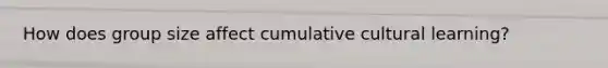 How does group size affect cumulative cultural learning?