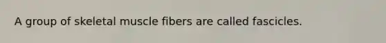 A group of skeletal muscle fibers are called fascicles.