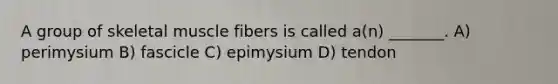 A group of skeletal muscle fibers is called a(n) _______. A) perimysium B) fascicle C) epimysium D) tendon