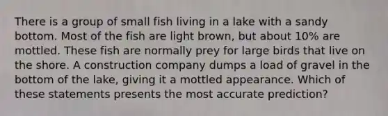 There is a group of small fish living in a lake with a sandy bottom. Most of the fish are light brown, but about 10% are mottled. These fish are normally prey for large birds that live on the shore. A construction company dumps a load of gravel in the bottom of the lake, giving it a mottled appearance. Which of these statements presents the most accurate prediction?