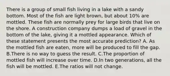 There is a group of small fish living in a lake with a sandy bottom. Most of the fish are light brown, but about 10% are mottled. These fish are normally prey for large birds that live on the shore. A construction company dumps a load of gravel in the bottom of the lake, giving it a mottled appearance. Which of these statement presents the most accurate prediction? A. As the mottled fish are eaten, more will be produced to fill the gap. B.There is no way to guess the result. C.The proportion of mottled fish will increase over time. D.In two generations, all the fish will be mottled. E.The ratios will not change.