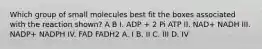 Which group of small molecules best fit the boxes associated with the reaction shown? A B I. ADP + 2 Pi ATP II. NAD+ NADH III. NADP+ NADPH IV. FAD FADH2 A. I B. II C. III D. IV