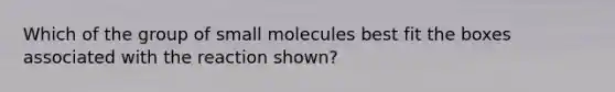 Which of the group of small molecules best fit the boxes associated with the reaction shown?