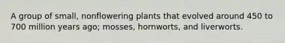 A group of small, nonflowering plants that evolved around 450 to 700 million years ago; mosses, hornworts, and liverworts.