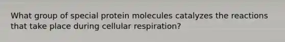 What group of special protein molecules catalyzes the reactions that take place during <a href='https://www.questionai.com/knowledge/k1IqNYBAJw-cellular-respiration' class='anchor-knowledge'>cellular respiration</a>?