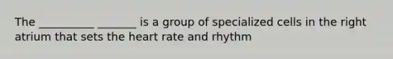 The __________ _______ is a group of specialized cells in the right atrium that sets <a href='https://www.questionai.com/knowledge/kya8ocqc6o-the-heart' class='anchor-knowledge'>the heart</a> rate and rhythm