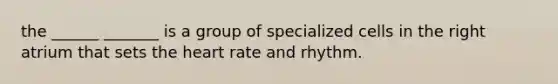 the ______ _______ is a group of specialized cells in the right atrium that sets the heart rate and rhythm.