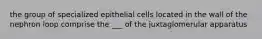 the group of specialized epithelial cells located in the wall of the nephron loop comprise the ___ of the juxtaglomerular apparatus