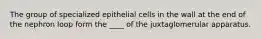 The group of specialized epithelial cells in the wall at the end of the nephron loop form the ____ of the juxtaglomerular apparatus.