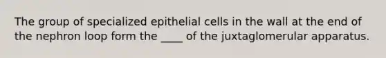 The group of specialized epithelial cells in the wall at the end of the nephron loop form the ____ of the juxtaglomerular apparatus.