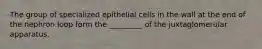 The group of specialized epithelial cells in the wall at the end of the nephron loop form the _________ of the juxtaglomerular apparatus.