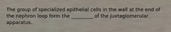 The group of specialized epithelial cells in the wall at the end of the nephron loop form the _________ of the juxtaglomerular apparatus.