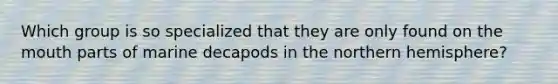 Which group is so specialized that they are only found on the mouth parts of marine decapods in the northern hemisphere?