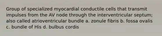 Group of specialized myocardial conductile cells that transmit impulses from the AV node through the interventricular septum; also called atrioventricular bundle a. zonule fibris b. fossa ovalis c. bundle of His d. bulbus cordis