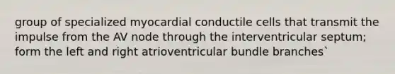 group of specialized myocardial conductile cells that transmit the impulse from the AV node through the interventricular septum; form the left and right atrioventricular bundle branches`