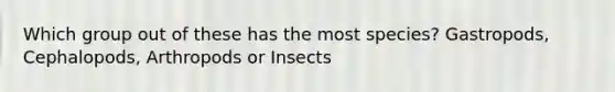 Which group out of these has the most species? Gastropods, Cephalopods, Arthropods or Insects