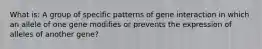 What is: A group of specific patterns of gene interaction in which an allele of one gene modifies or prevents the expression of alleles of another gene?